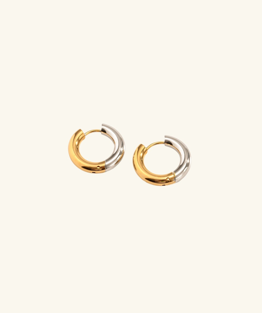 Silver Gold Hoop Earrings