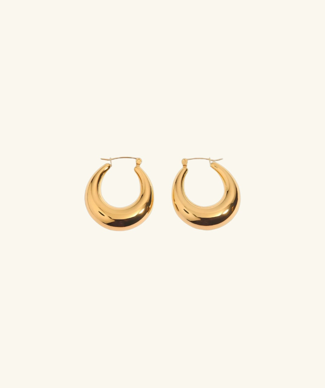 Elegant Hoops Earrings