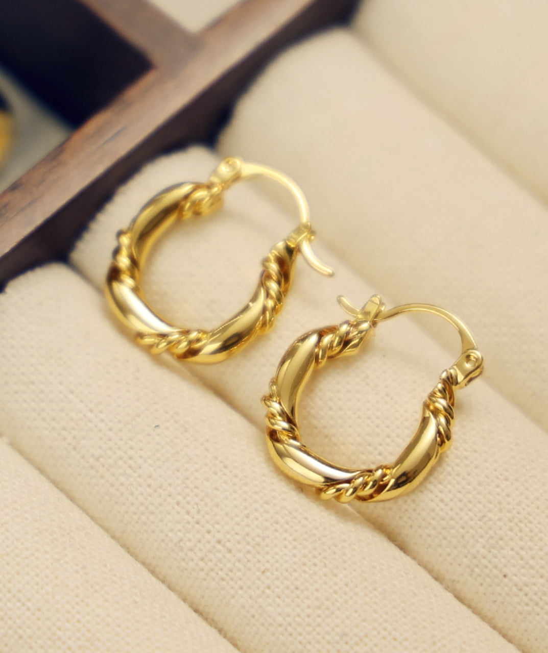 Rope Twist Hoop Earrings