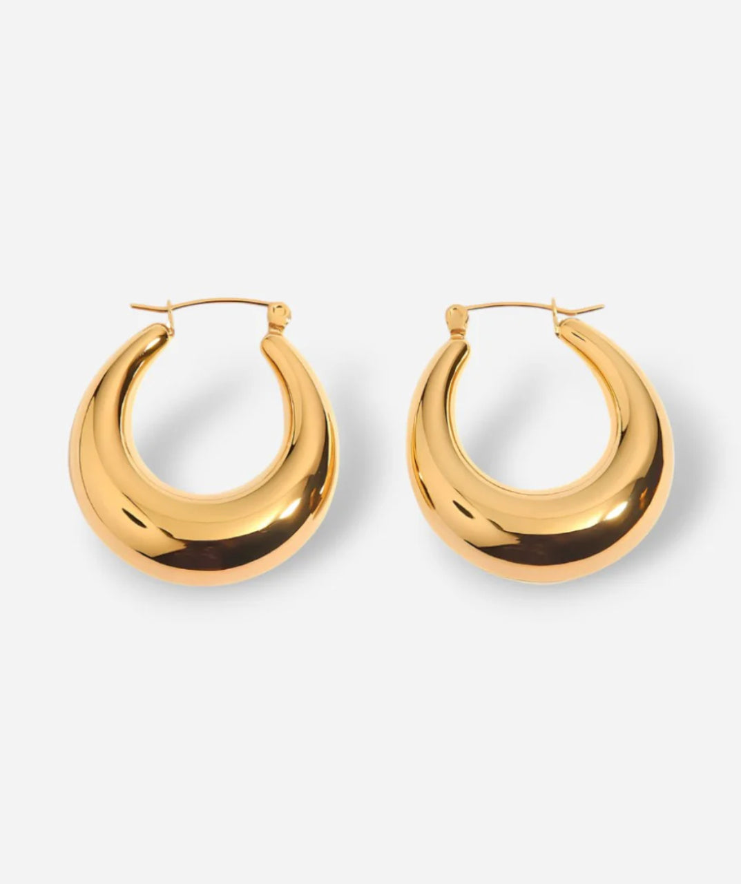 Elegant Hoops Earrings