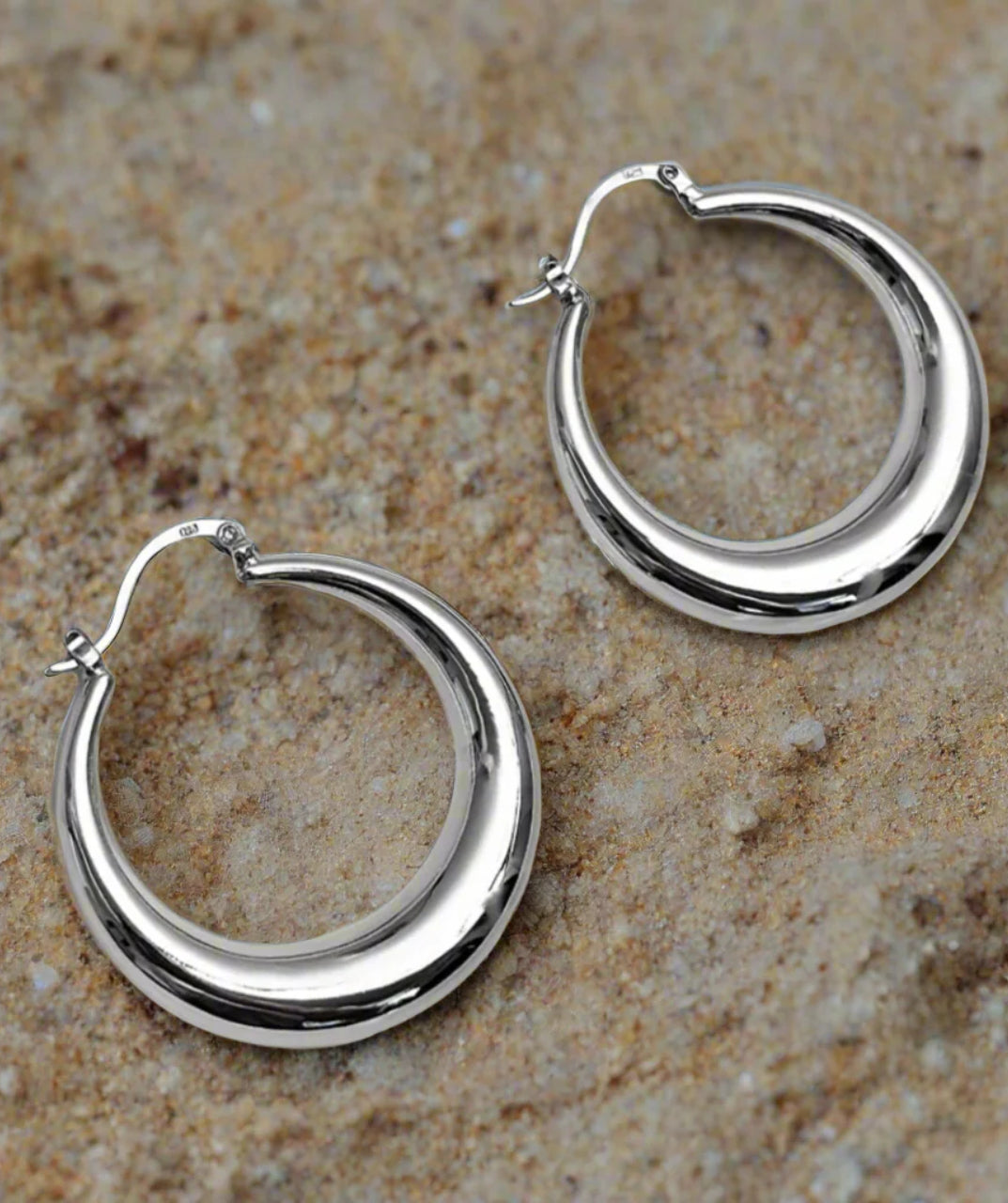 Elegant Hoops Earrings