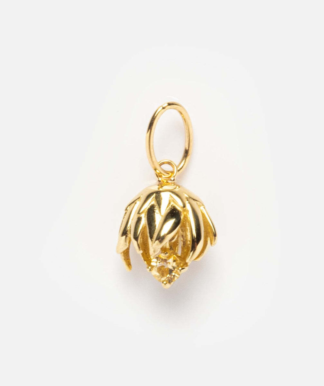 Gold Plated Necklace Charm